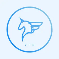 飞马798加速器吧